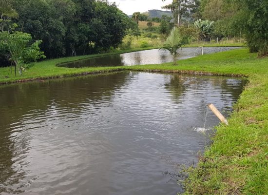 WhatsApp Image 2024-02-21 at 09.40.59